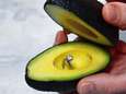 Doe eens een huwelijksaanzoek met ... een avocado