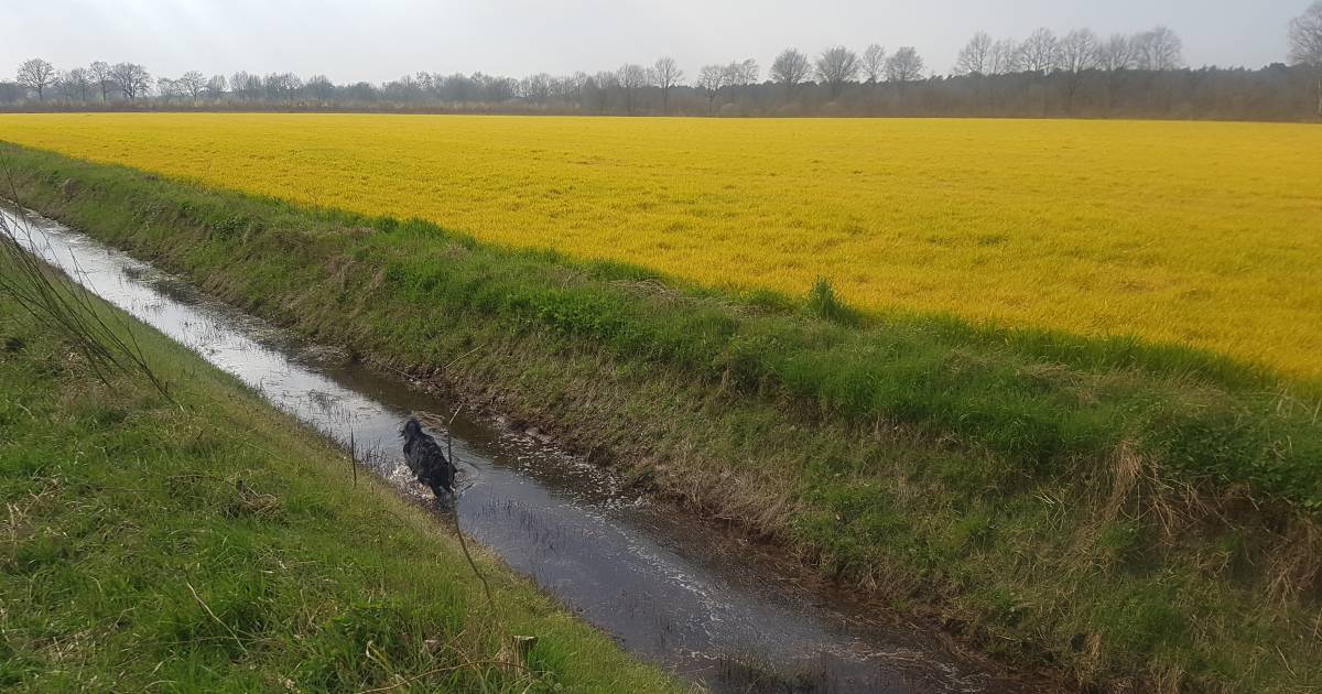Grondwater voor drinkwater té vervuild provincie wil strengere regels