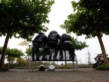 ‘Hang camera’s op in het Binnenpark om overlast van hangjongeren tegen te gaan’