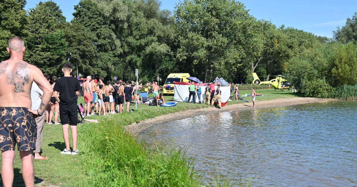 Zwemmer in kritieke toestand uit Rijkerswoerdse Plassen gehaald: ‘Hulde voor omstanders’