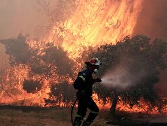 Griekenland kampt nog met drie bosbranden: “Situatie verbetert stilaan”