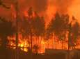 Ook Portugees dorpje moet afrekenen met hevige bosbrand