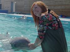 Minister beticht Dolfinarium van foute foto’s met dolfijnen, park is verbaasd: ‘Dit mogen we doen’