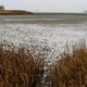 Hoe de Hedwigepolder biodiversiteit terugbrengt aan de Zeeuwse kust