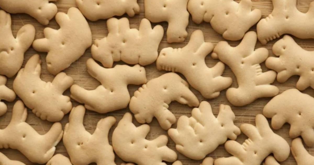 La Vegan Society Demande La Fin Des Biscuits En Forme D Animaux Manger 7sur7 Be