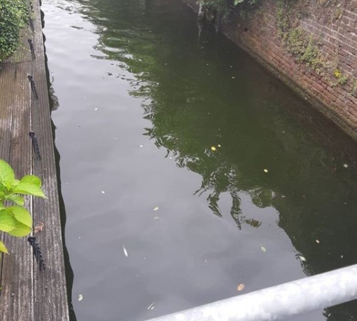 Het kanaal in Middelburg.