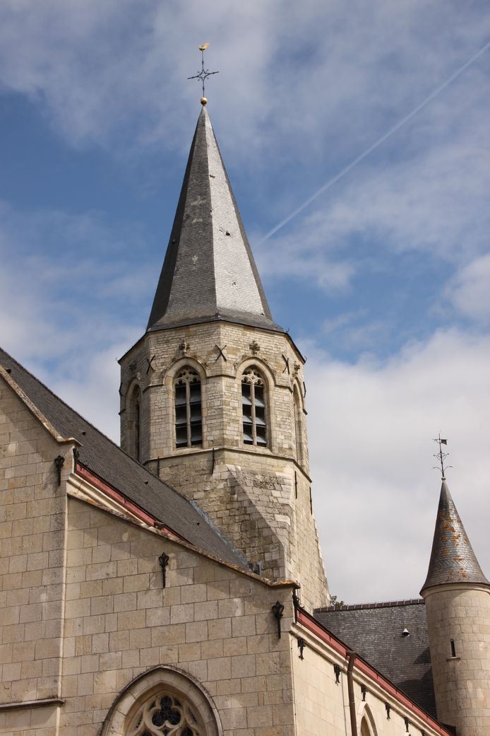 Vleermuizen voelen zich thuis in de toren van de kerk van Vurste.