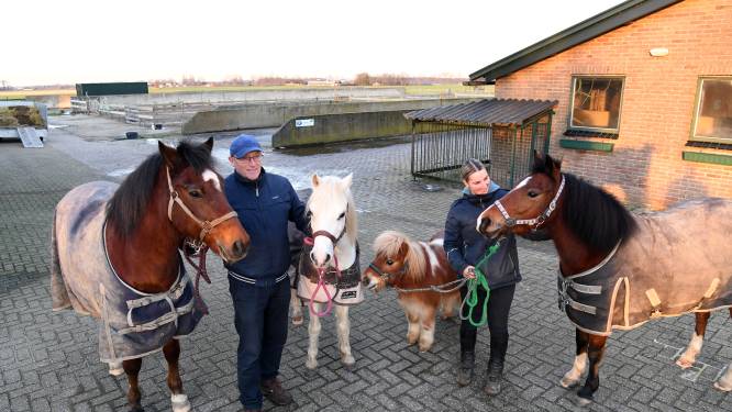 Antoine probeert zijn zorgboerderij De Ponyfarm te redden: ‘Zo’n plek mag toch niet verdwijnen?’