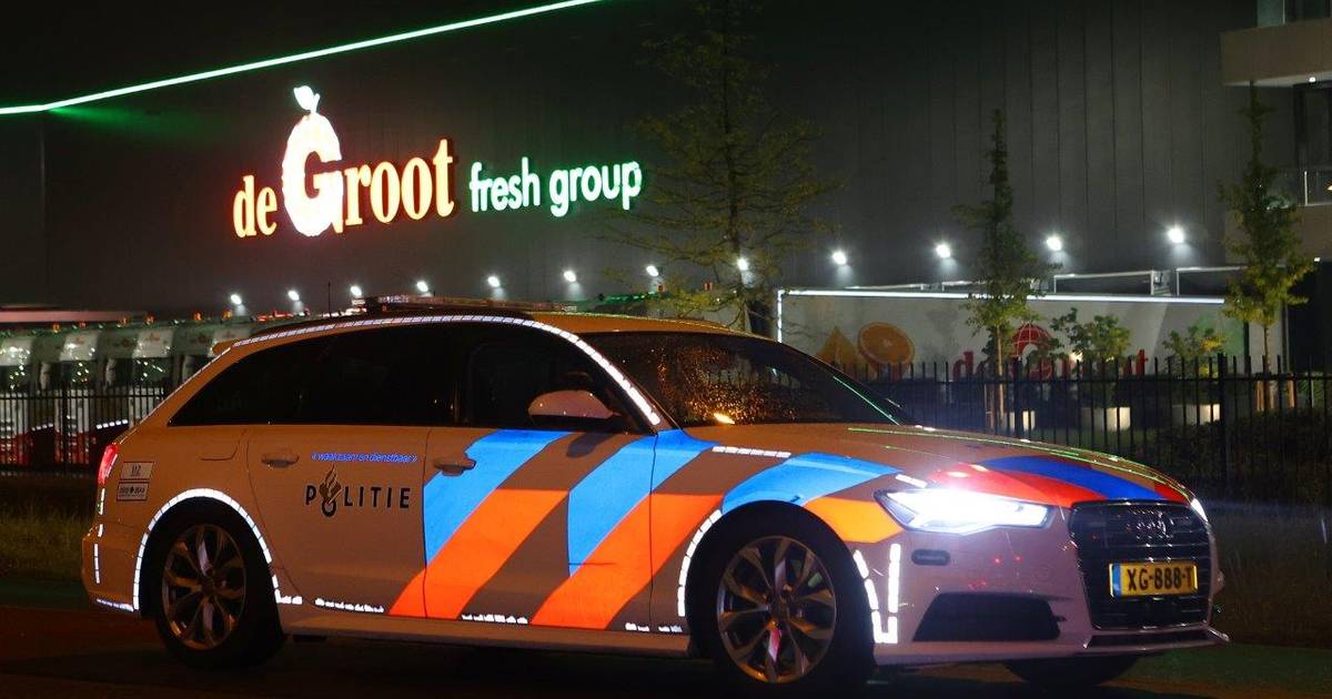 Orangen - de Groot fresh group