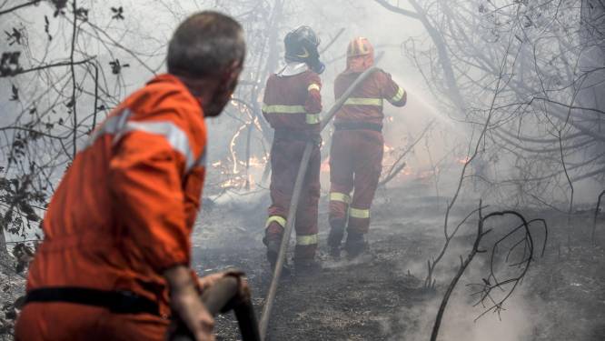 Le nord de l'Italie et la Sicile aux prises avec plusieurs feux de forêt