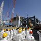 Rattennetten oorzaak storing centrale Fukushima