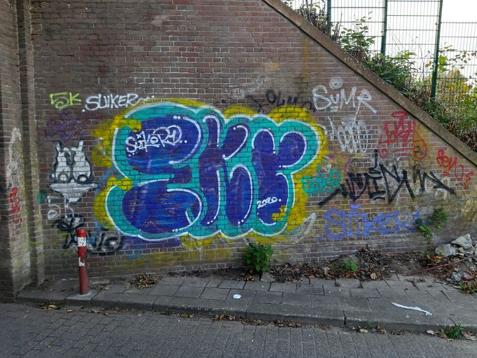 Ontsierende Graffiti Rukt Op In Arnhem Misschien Nog Wel Lastiger Te Handhaven Dan Vuurwerkverbod Arnhem Gelderlander Nl