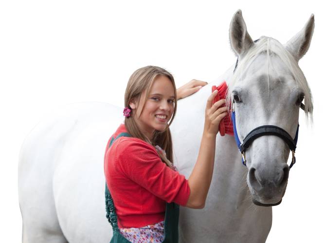 Plopsaland stuurt beroemd paard Amika met pensioen
