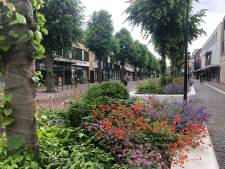 Winkelcentrum Uden wordt groener, gemeente gaat leegstand aanpakken 