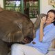 Video | Baby-olifant gek op haar redder