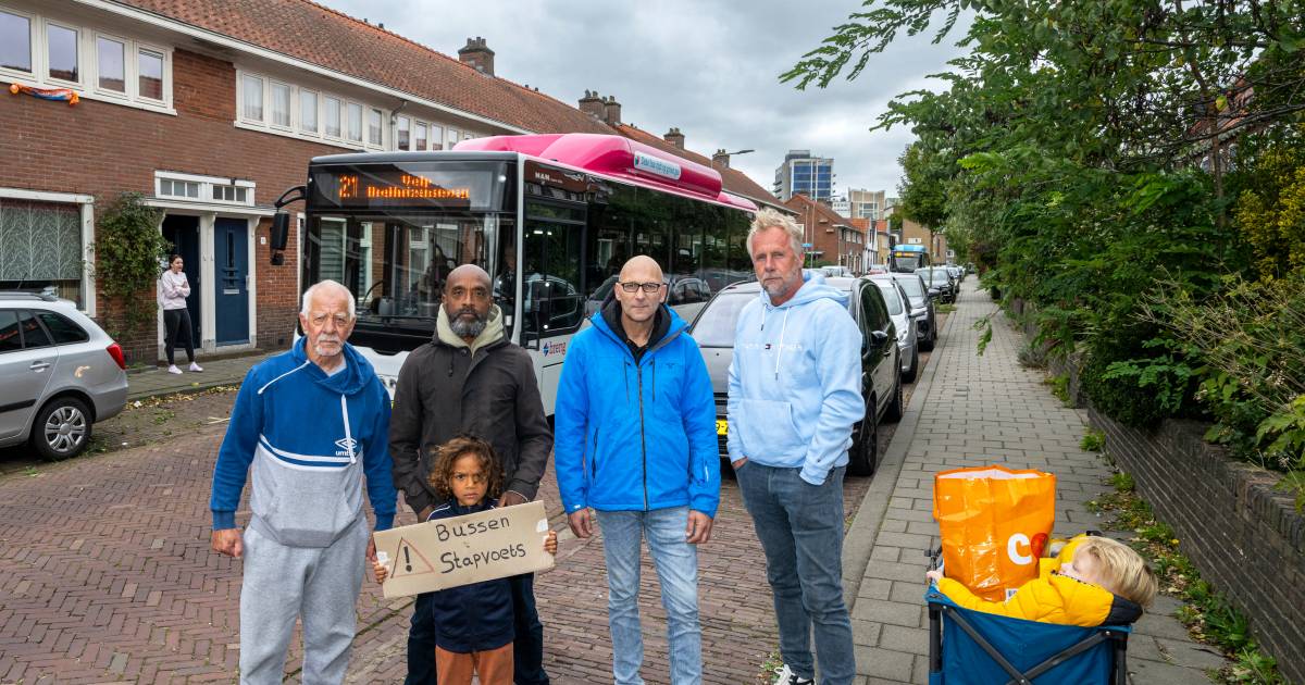 Arnhemmers vrezen het ergste door ‘scheurende’ bussen: ‘Nu is een kat aangereden, zo is het een kind’.