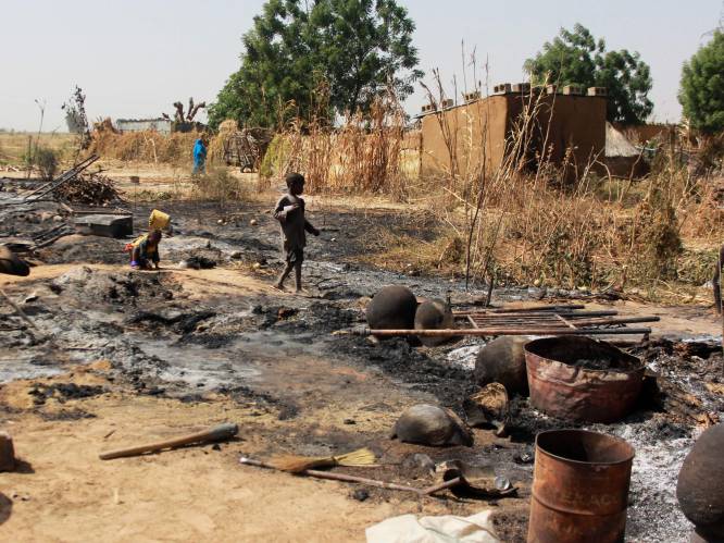 Bijna 300 Boko Haram-strijders gedood bij offensief in Niger