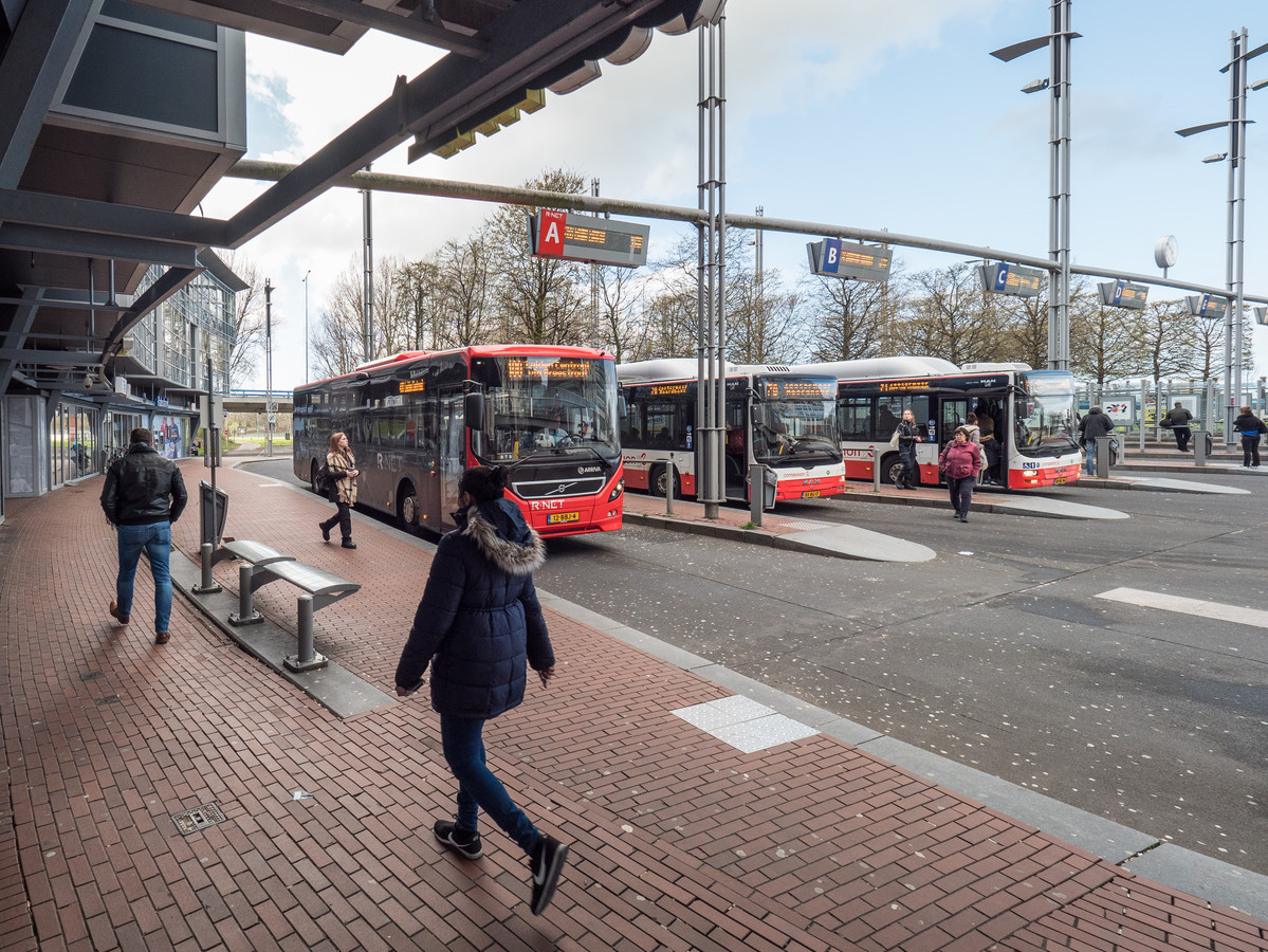 Steken Schrijf een brief reactie Bus 73 krijgt nog een jaar om zich te bewijzen | Foto | AD.nl