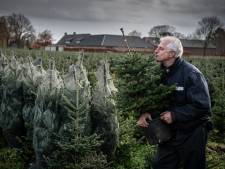 De perfecte boom voor iedereen: koop potgekweekt en draag handschoenen 