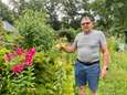 Nergens zo veel verschillende vlinders geteld als in tuin van Ludo (69): “Het restaurant staat hier elke dag voor ze klaar”