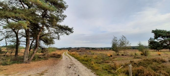 Fietsroute 2 Truus Wijnen
Sallandse Heuvelrug
Herberg De Pas
Fietspontje Regge