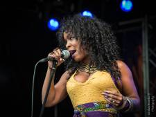 Bluesfestival pakt uit met internationale bands