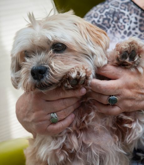 Opgepast voor de kruipende sluipmoordenaar: ‘Grasaren kunnen echt rotzakken zijn’