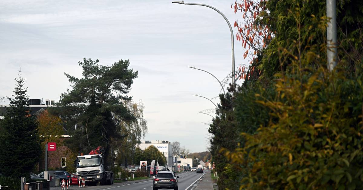 Meer dan de helft openbare verlichting in Rotselaar bestaat uit led