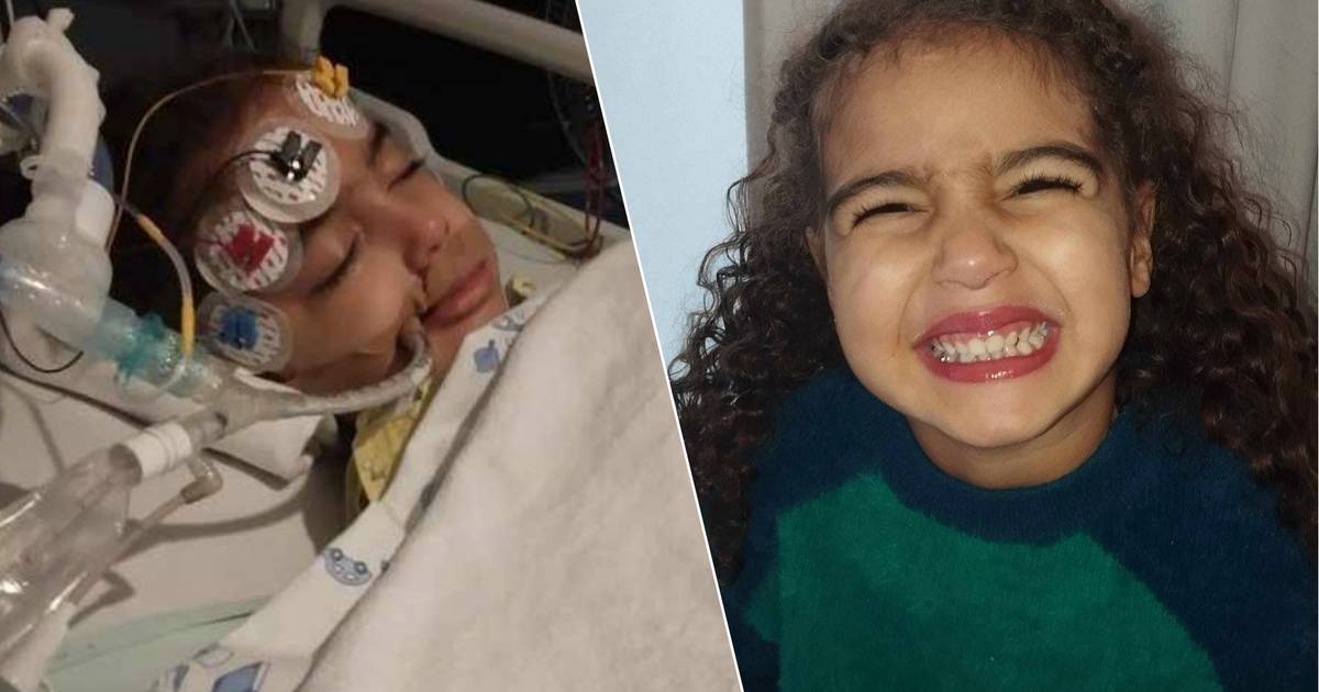 Toddler Sidra (4) died as a result of an accident in a gym: “We are devastated” |  Instagram VTM NEWS