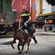 Minister verbiedt gebruikt stroomhalsbanden bij honden