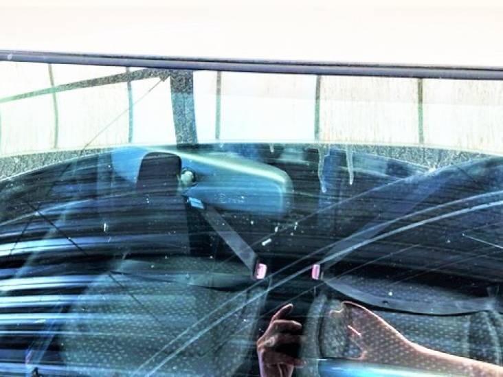 Vandalisme door jongeren? Nee, deze vogels blijken auto’s en zonnepanelen in dit kustdorp te vernielen