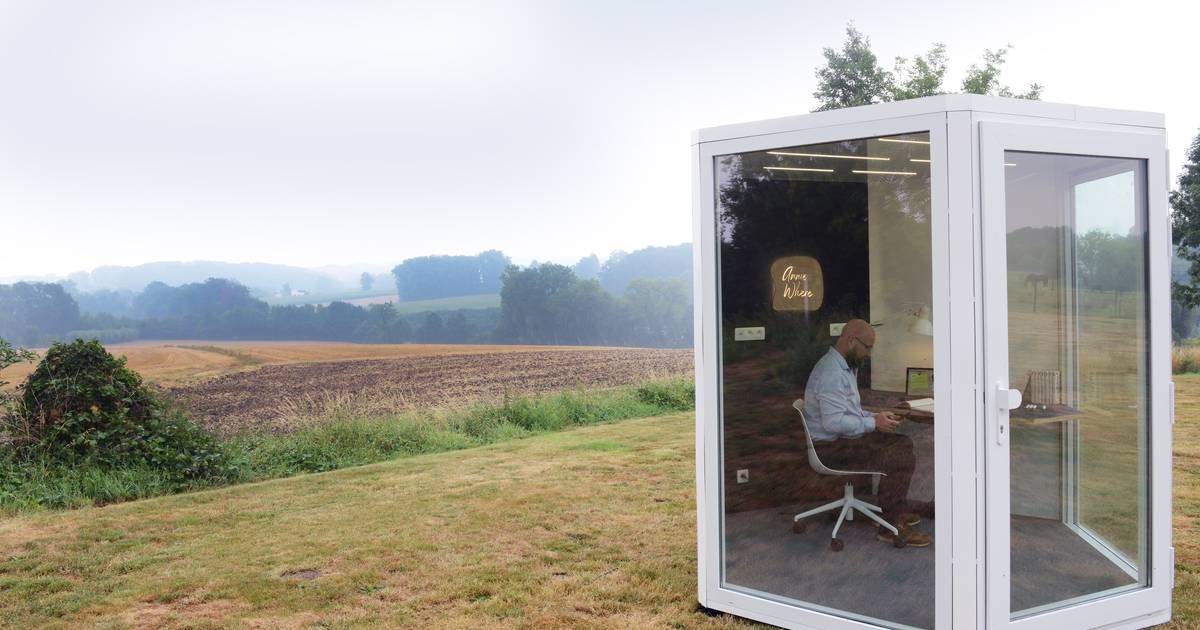 TFA Kamerthermometer - kopen bij