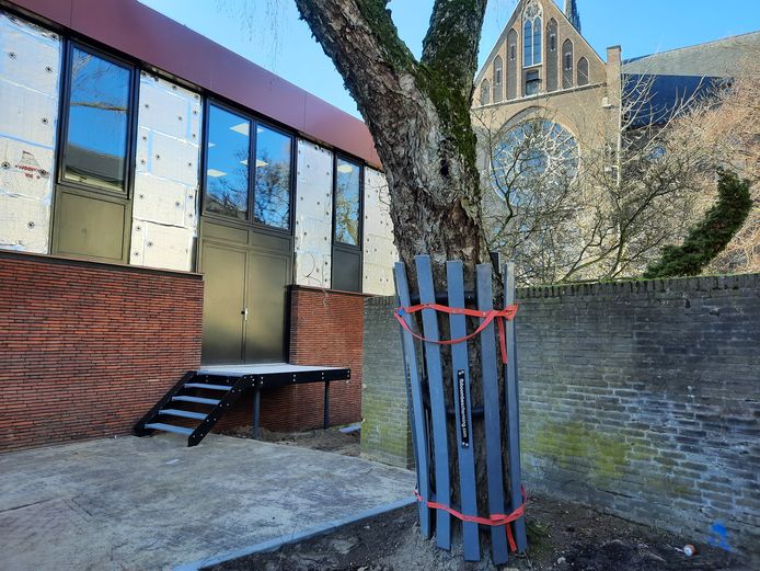 Een boom staat in de weg van het laaddock van het nieuwe gemeenschapshuis in Asten.