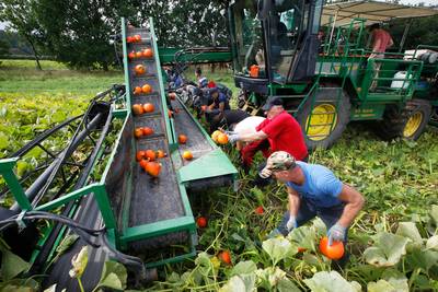 Verzet tegen woonruimte voor maximaal tien arbeidsmigranten in Elshout vindt geen gehoor