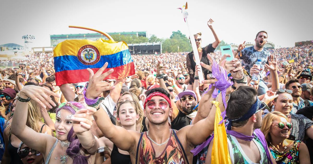 This is what the figures of the culture sector looked like last year: Tomorrowland 5 million loss |  showbiz