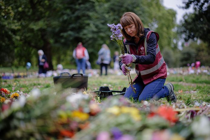 Vrijwilligers halen bloemen voor de Queen weg uit Londense parken.