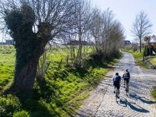 Plusieurs cyclistes percutés par une voiture lors d'une course semi-professionnelle à Amay