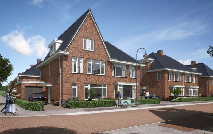 Vleugelnoot en Esdoorn - Twee-onder-een-kapwoningen