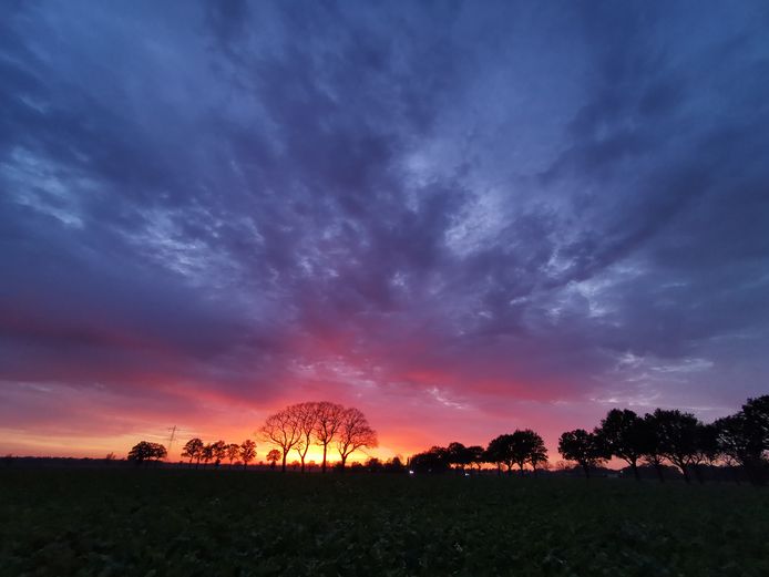 BRANDENDE BOMEN - Hollandse luchten en een prachtige zonsondergang zorgen voor dit kleurrijke schouwspel op de Kiesbeemd in Boekel.
