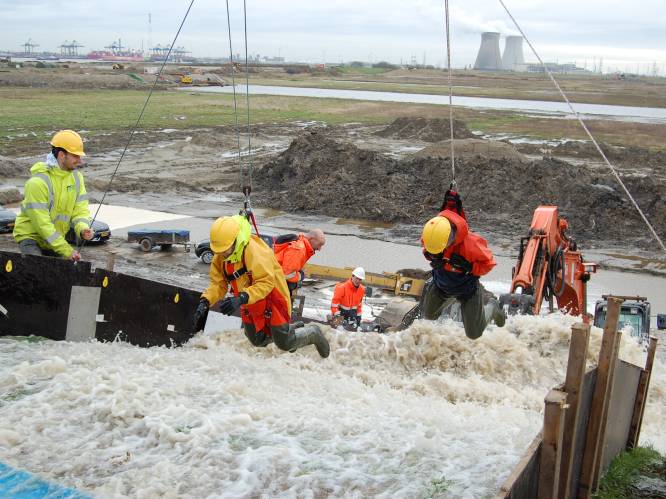 REPORTAGE. Prosperpolder, het waterpretpark voor wetenschappers: “Hier testen we het effect van een superstorm op onze dijken”