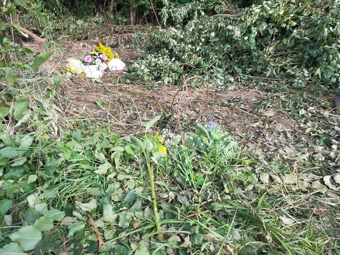 In de berm, naast de Liemersweg, herinnert alleen een donkere plek nog aan het noodlottige ongeluk.