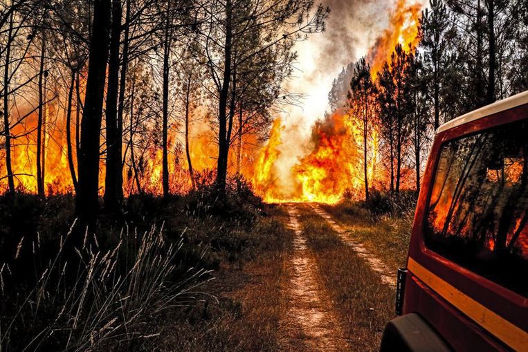 In de Franse regio Gironde is al zeker 10.000 hectare bos in vlammen opgegaan.  Beeld ANP / EPA