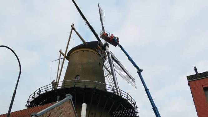 Na streep door subsidie van gemeente kan de laatste Dordtse molen ook fluiten naar steun van provincie