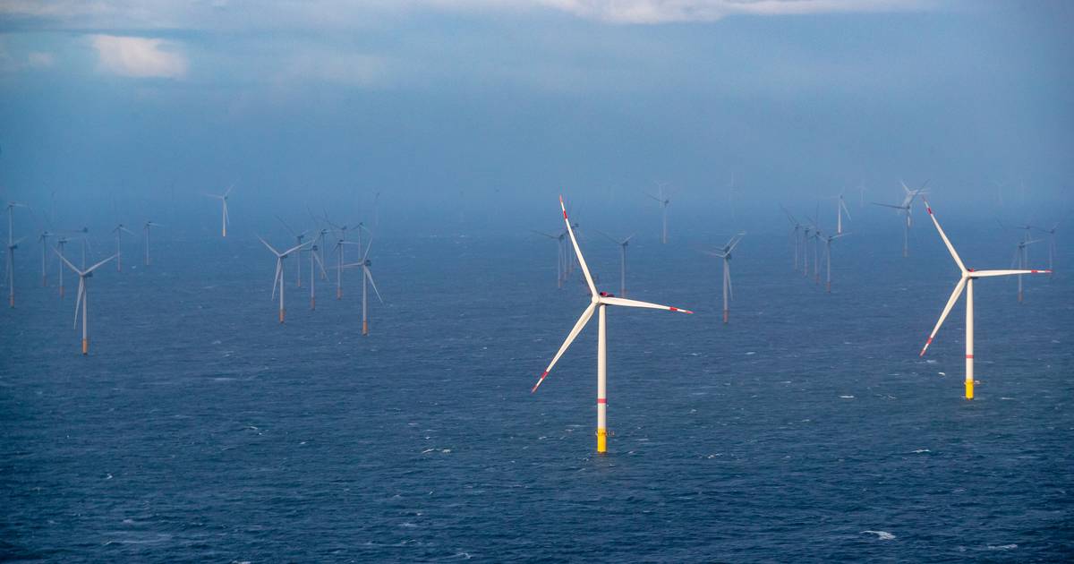 I mulini a vento al largo della costa belga forniscono energia a quasi 2 milioni di famiglie nel 2021 |  l’interno