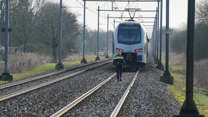 Machinist schrikt van spoorloper bij Groessen: treinverkeer meer dan een uur plat