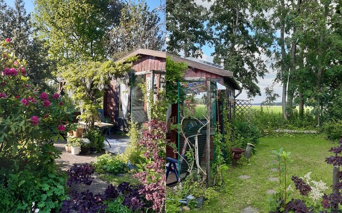 De foto's van de tuin van Ellen