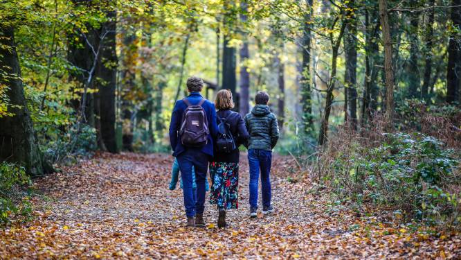 Zeven tips voor een verkoelende wandeling in Brugge en de Oostkust: van het grootste bos van West-Vlaanderen tot oude boerderijen