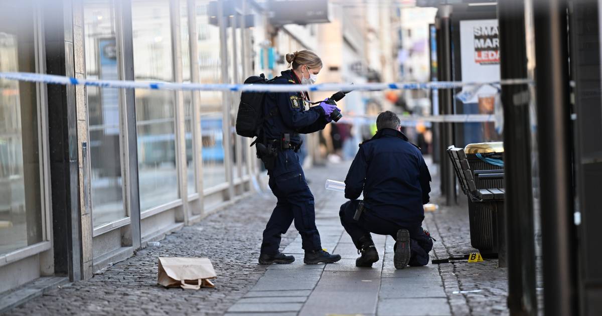 Une Néerlandaise poignardée suspecte (10 ans) et grand-mère en Suède ne se souvient de rien |  À l’étranger