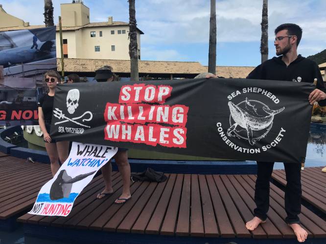 Japan vraagt dat commerciële walvisjacht weer toegelaten wordt