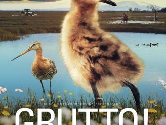 Natuurdocumentaire van Rubens Smit in Wattenfabriek
